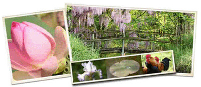 Le jardin des Martels