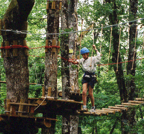 Accrobranche dans le Tarn